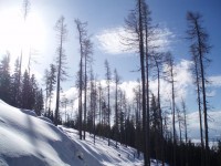 /album/tatry-28-2-2009/p2280034-jpg/