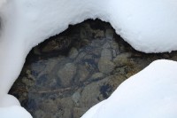 /album/tatry-28-2-2009/dsc-00421-jpg/