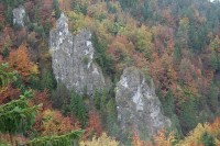 /album/a23-24-janosikove-diery-na-orave/dsc-0250-jpg2/